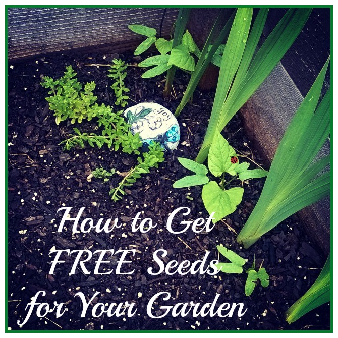 How to get #free #seeds for your #garden