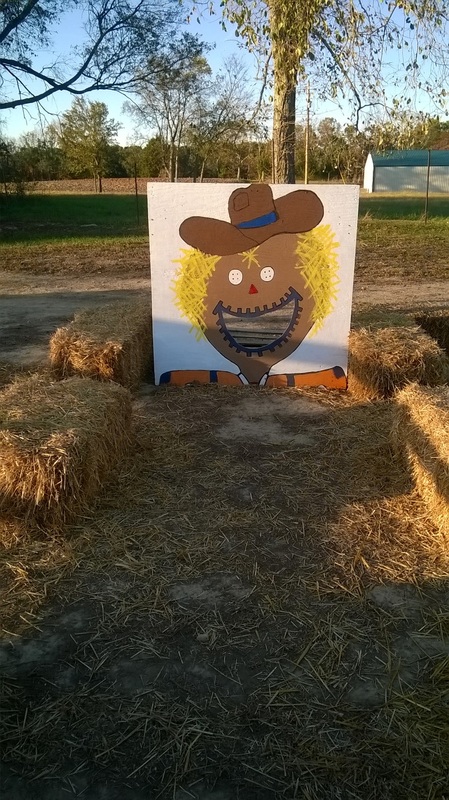 Our visit to Shuckles corn maze in TN 