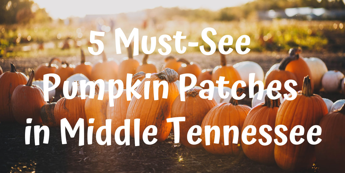 5 Must See Pumpkin Patches in Middle Tennessee
