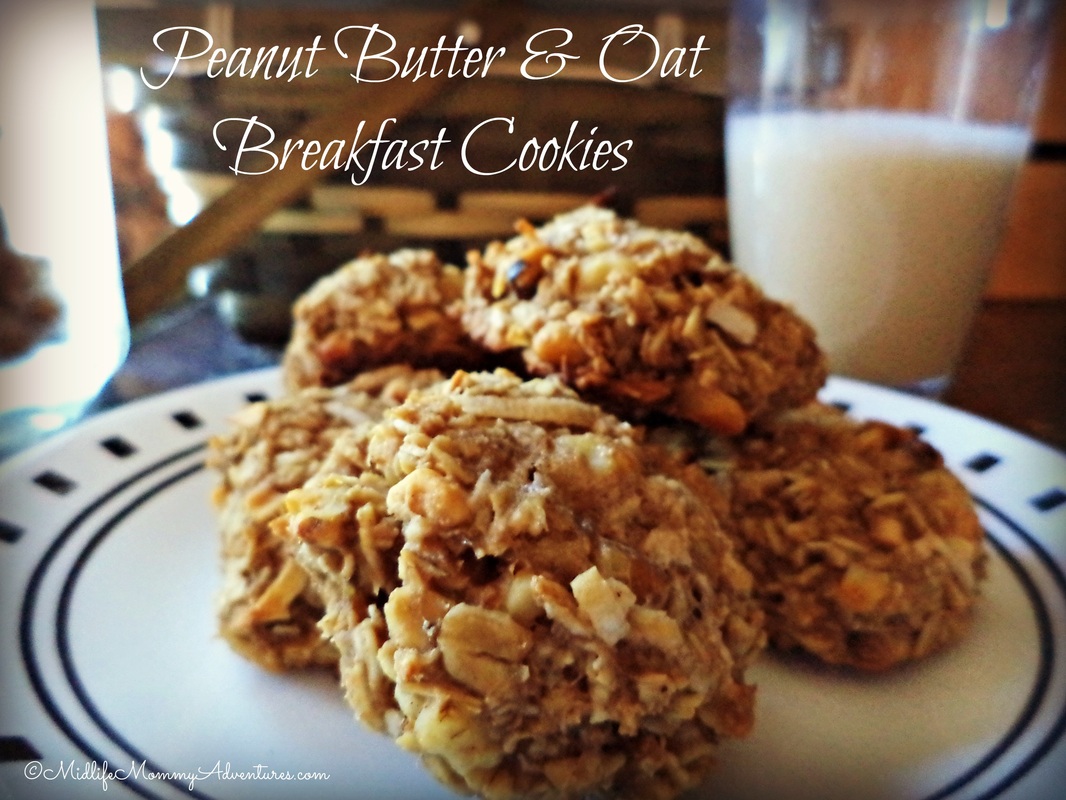Healthy Peanut Butter & Oat Breakfast Cookies