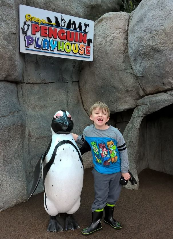 Check out our adventures at Ripley's Aquarium of the Smokies